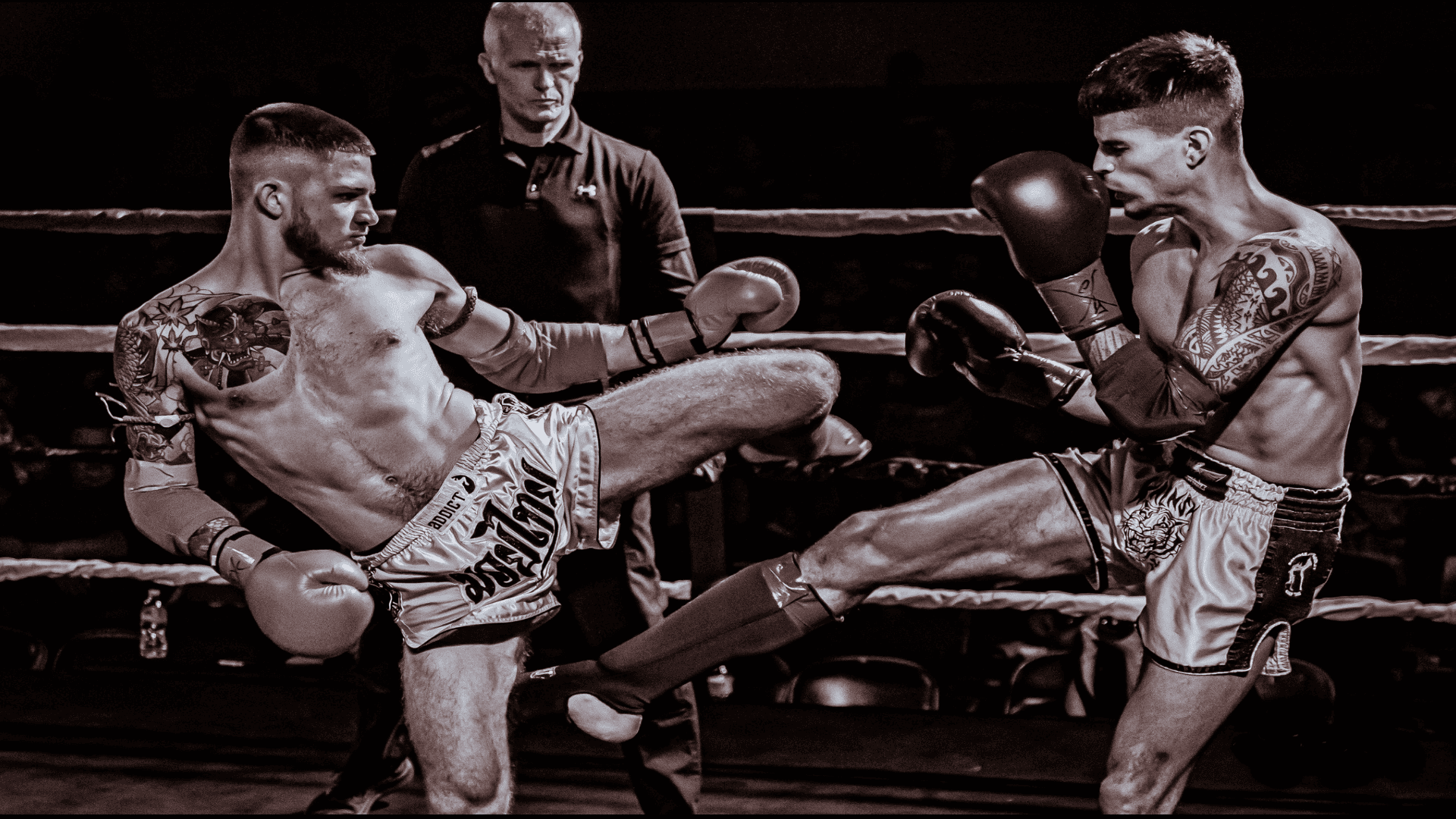 NOBOUNDARYFIGHT XVII